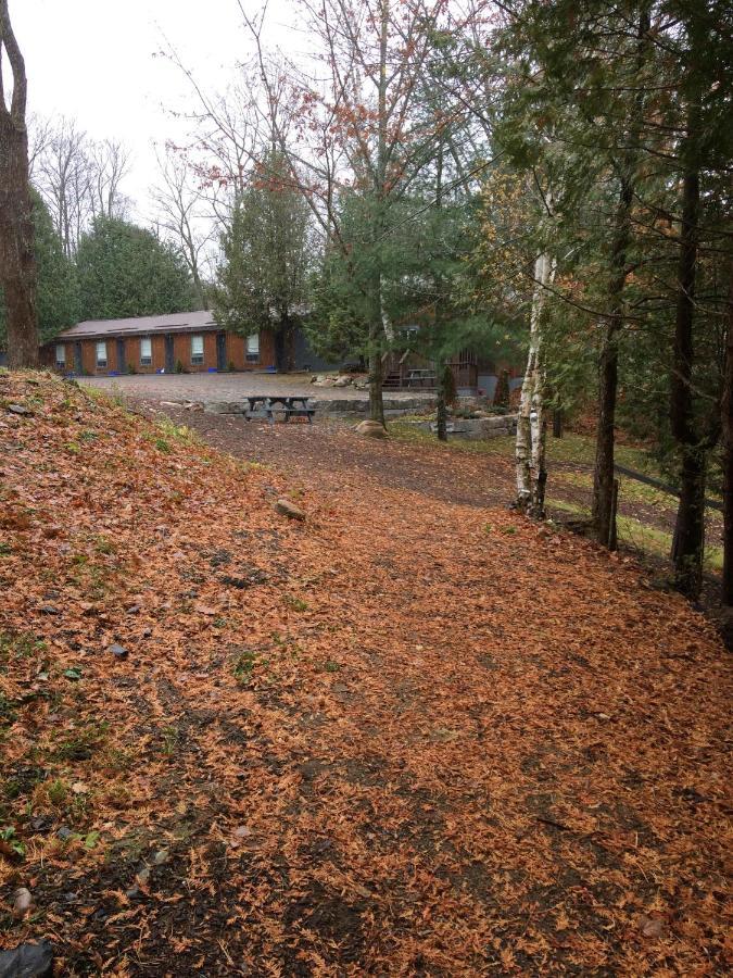 Somerset Lakeside Resort Bancroft Bagian luar foto